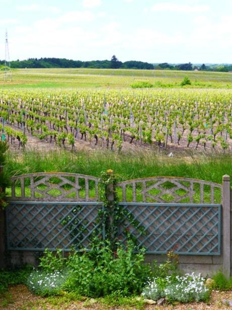 Domaine De La Chapelle - Ch D'Hote Faverolles-sur-Cher Eksteriør billede